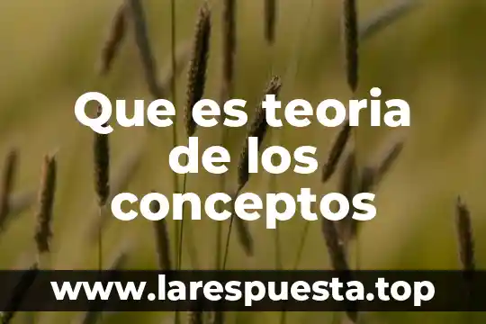 Que es cinematica y sus conceptos basicos 6 Que es teoria de los conceptos