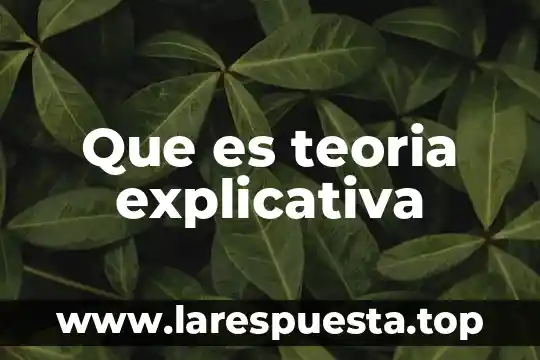 Que es teoria explicativa