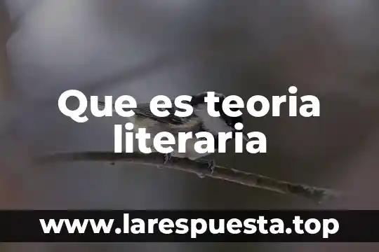 Que es teoria literaria