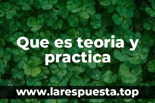Que es teoria y practica