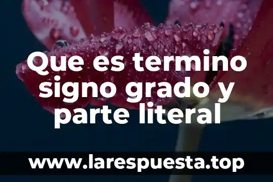 Que es termino signo grado y parte literal