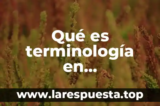Qué es terminología en investigación de operaciones