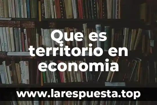 Que es territorio en economia