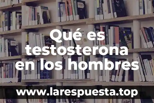 Que es la grasa abdominal hombres 5 Qué es testosterona en los hombres