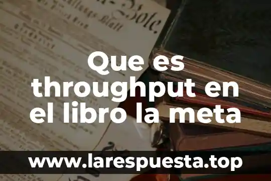 Que es una meta un objetivo 8 Que es throughput en el libro la meta