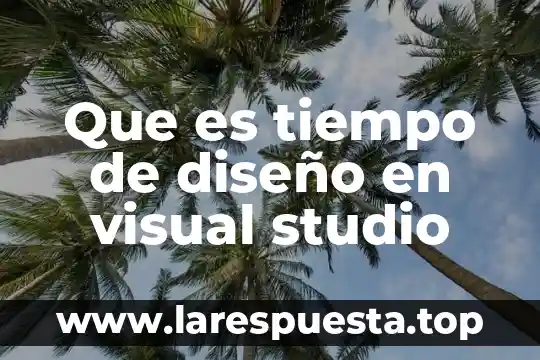 Que es tiempo de diseño en visual studio