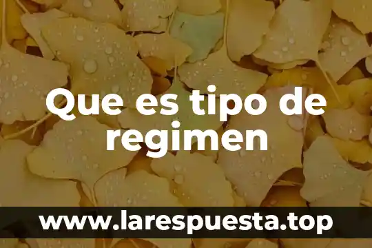 Que es tipo de regimen