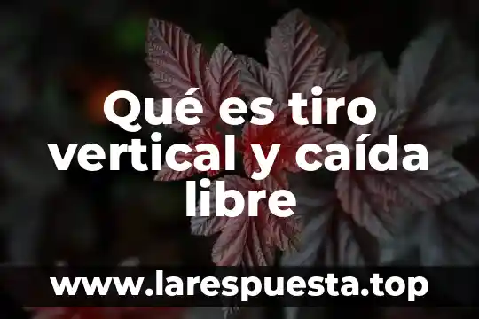 Qué es tiro vertical y caída libre