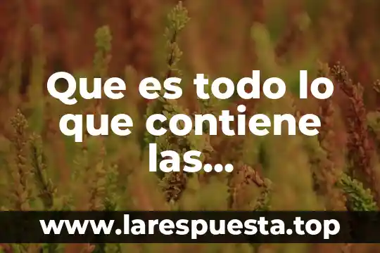 Que es todo lo que contiene las matematicas