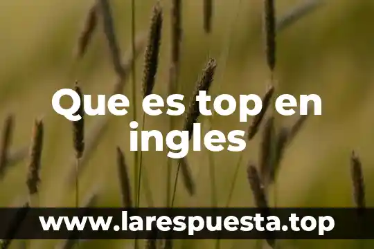 Bordado inglés que es 8 Que es top en ingles