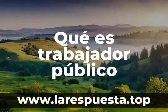 Que es una trabajador social 6 Qué es trabajador público