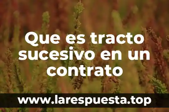 Que es sistema sucesivo 6 Que es tracto sucesivo en un contrato