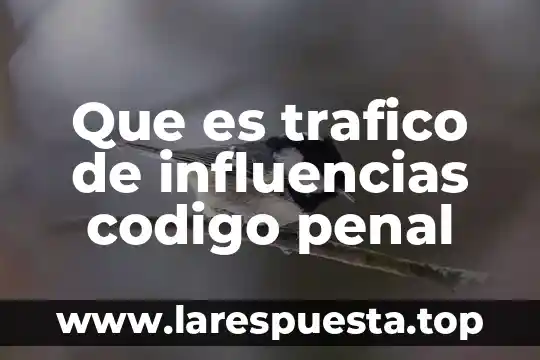 Que es trafico de influencias codigo penal