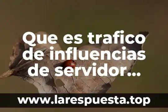 Que es trafico de influencias de servidor publico