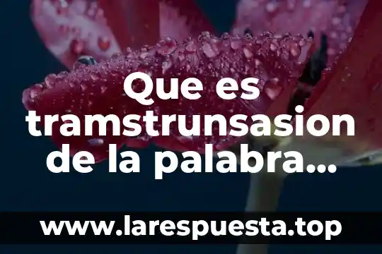 Que es un devocional personal con dios 8 Que es tramstrunsasion de la palabra de dios