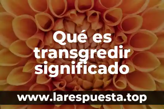 ¿Qué es estupefacto significado? 4 Qué es transgredir significado