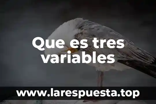 Que es un acuerdo en el derecho internacional 6 Que es tres variables