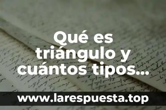 Qué es una función y cuántos tipos de función hay 8 Qué es triángulo y cuántos tipos hay