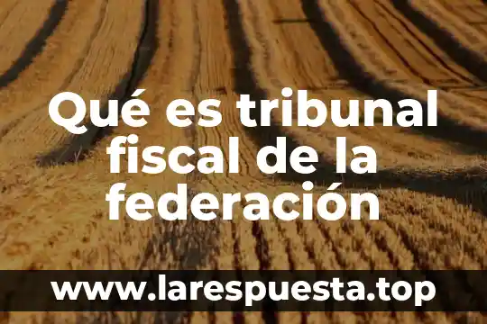 Que es la ley de egresos de la federacion 2019 8 Qué es tribunal fiscal de la federación