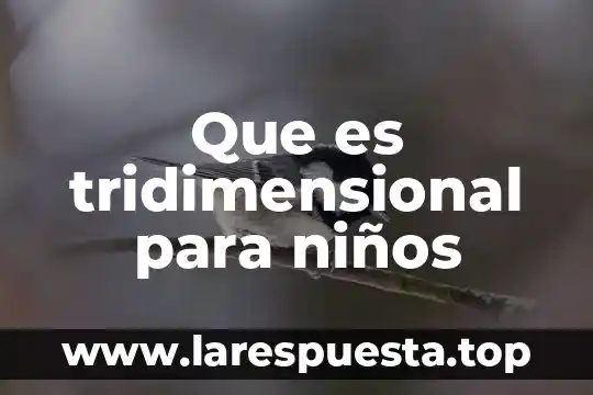 Que es la fase de aplicacion en una investigacion 6 Que es tridimensional para niños