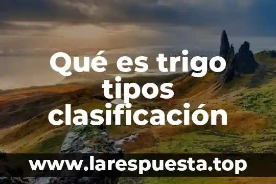 Qué es trigo tipos clasificación