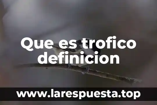 Que es trofico definicion