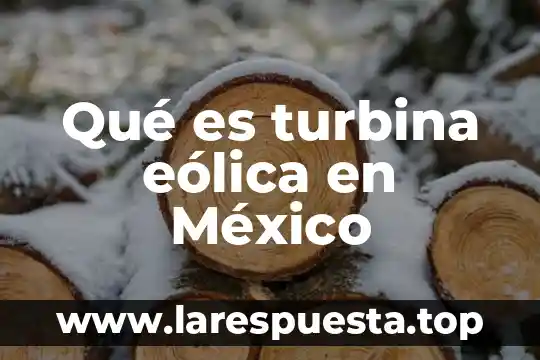 Que es la condicion juridica de los extranjeros en mexico 7 Qué es turbina eólica en México