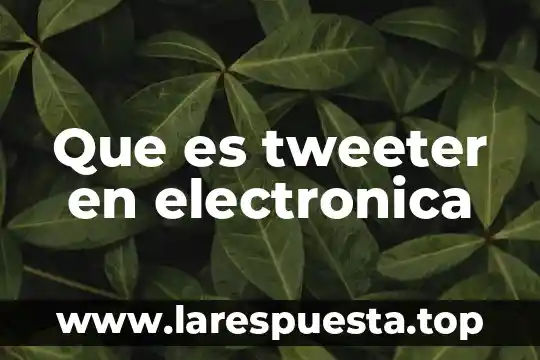Que es tweeter en electronica