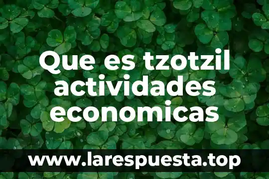 Que es licenciaturas economicas 3 Que es tzotzil actividades economicas