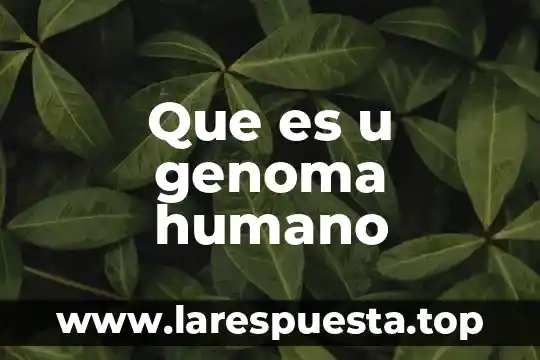 Goethe que es el humano 4 Que es u genoma humano