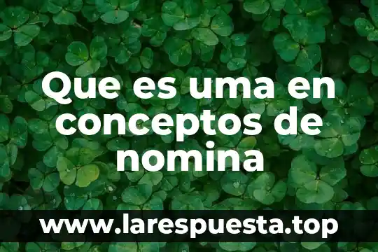 Que es uma en conceptos de nomina