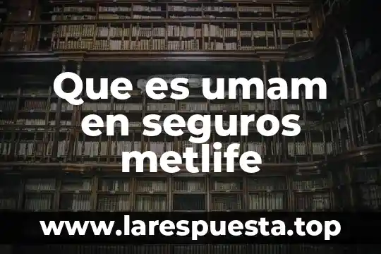 Que es perdida total en seguros inbursa auto 8 Que es umam en seguros metlife