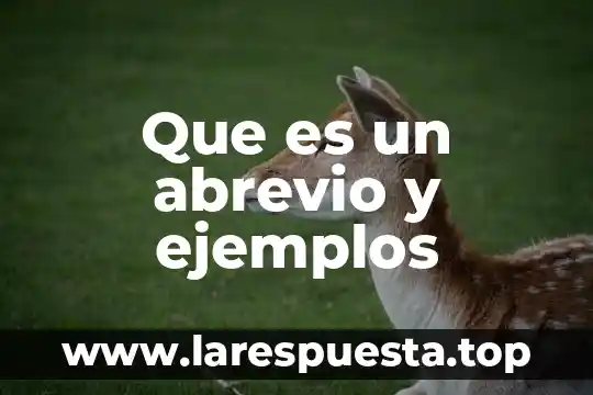 Que es un abrevio y ejemplos
