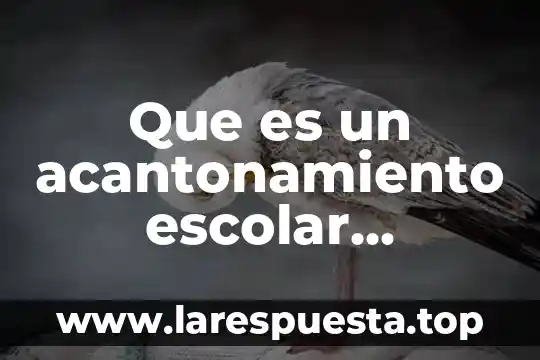 Que es un acantonamiento escolar educacion fisica