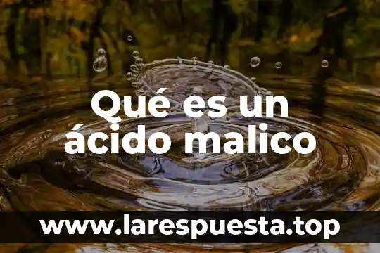 Que es la ley justicia y virtud para socrates 5 Qué es un ácido malico