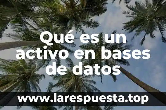 Que es bases cientificas 8 Qué es un activo en bases de datos