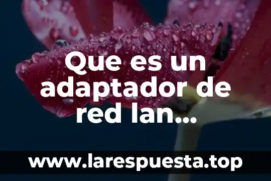 Que es una red inalambrica malla 8 Que es un adaptador de red lan inalambrica