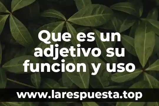 Que es el valor del uso 7 Que es un adjetivo su funcion y uso