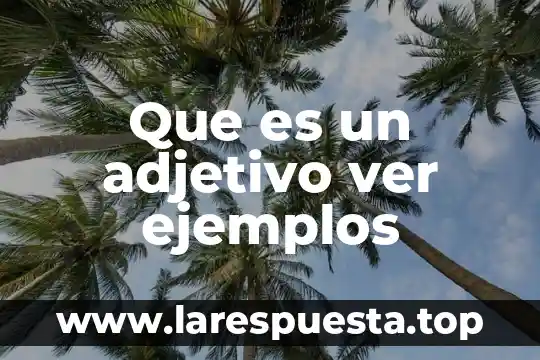 Qué es agronegocios y ejemplos 3 Que es un adjetivo ver ejemplos