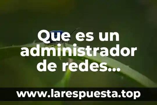 Que es la carrera de ingeniero en sistemas computacionales 6 Que es un administrador de redes computacionales