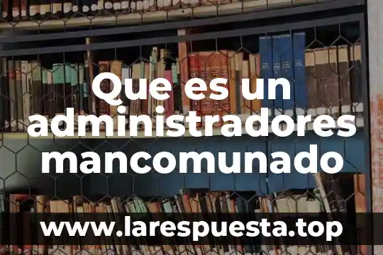 Que es un administradores mancomunado
