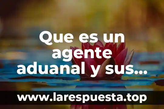 Que es un agente aduanal y sus funciones en mexico