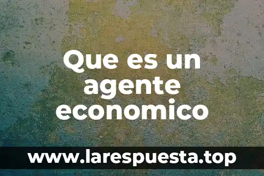 Que es un agente economico