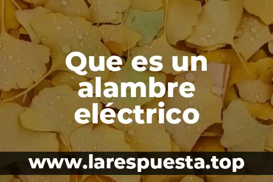 Que es un campo electrico y magnetico 7 Que es un alambre eléctrico