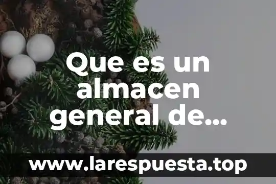 Que es un almacen general de deposito