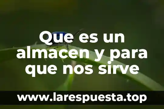 Qué es lo que nos adentra en un cuento 8 Que es un almacen y para que nos sirve