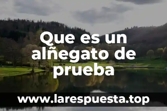 Que es un alñegato de prueba