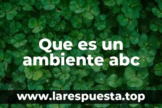 Que es un ambiente abc