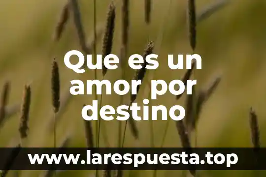 Que es un amor por destino