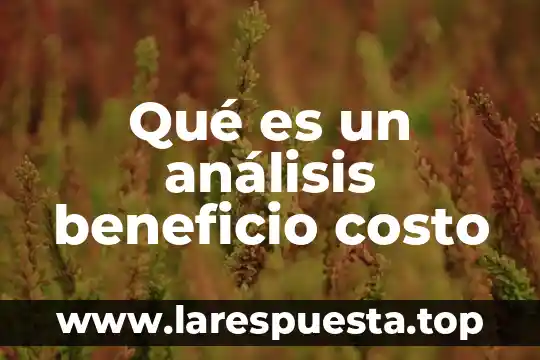 Que es un beneficio cultural 7 Qué es un análisis beneficio costo